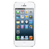 Apple iPhone 5 16Gb white - Славгород