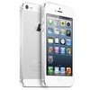 Apple iPhone 5 64Gb white - Славгород