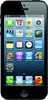 Apple iPhone 5 64GB - Славгород